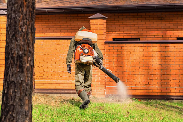Top rated local Ant Control specialists in Wallace Ridge, LA